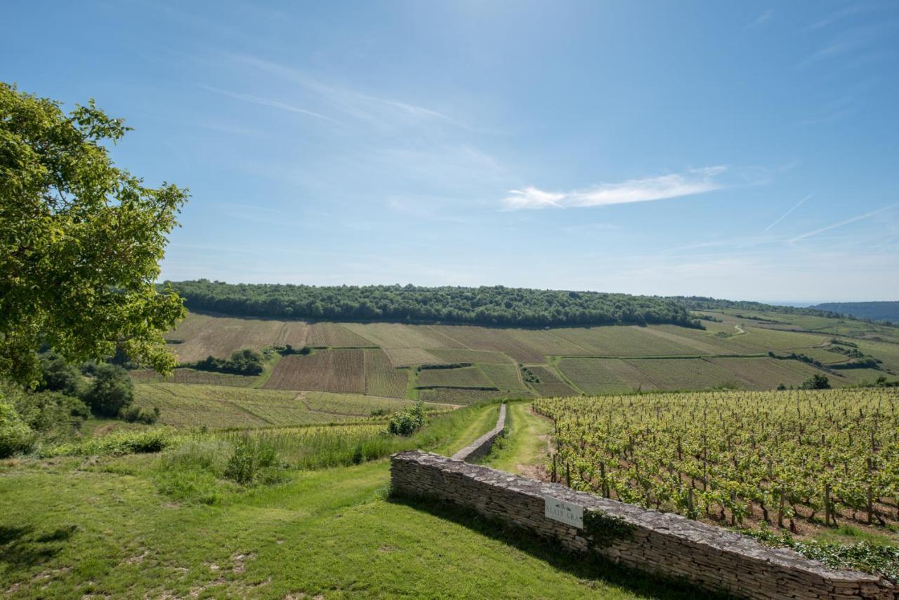Chez Joseph - Au Coeur Des Vignes De Saint-Romain Екстер'єр фото